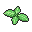 Naive Mint artwork