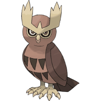 Noctowl