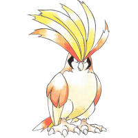 Pidgeot