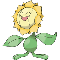 Sunflora