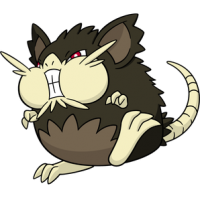 Raticate