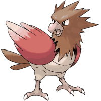 Spearow