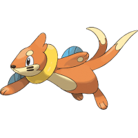 Buizel