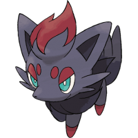 Zorua