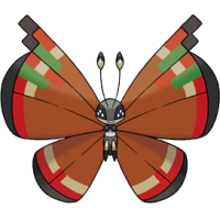 Vivillon