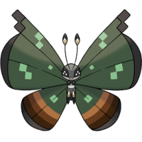 Vivillon