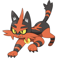 Torracat