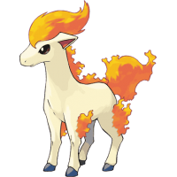 Ponyta