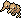 Doduo